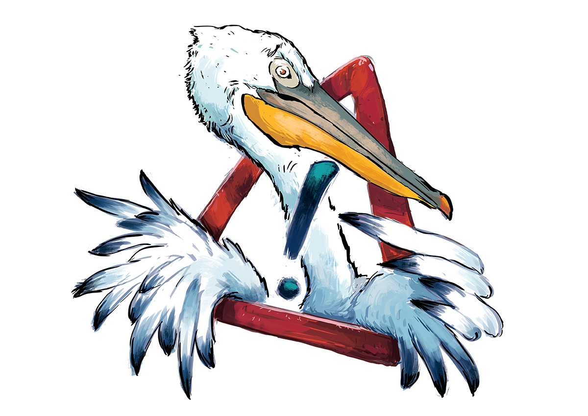 Pelican New 1 5