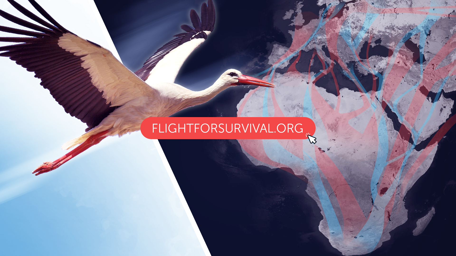 Flight for Survival