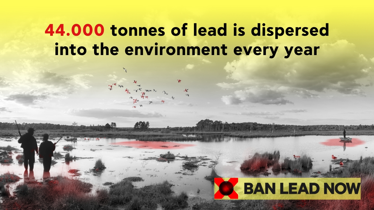 BanLeadNow 44000 EN