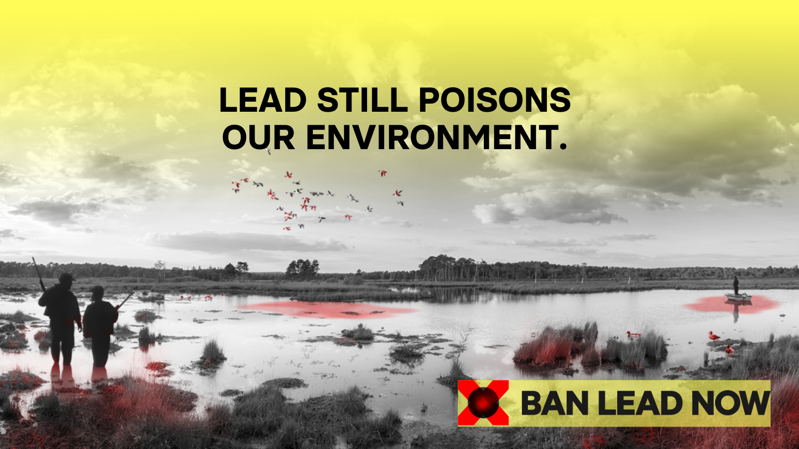 BanLeadNow Lead poisons our environment EN