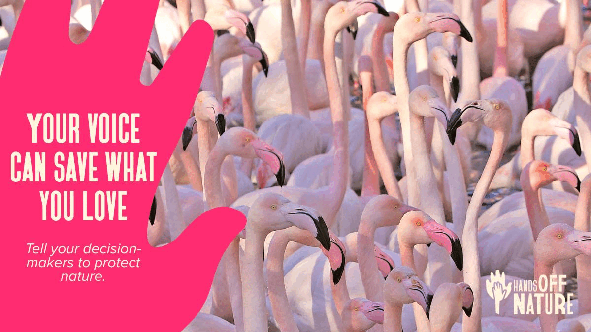 HandsOffNature gif en