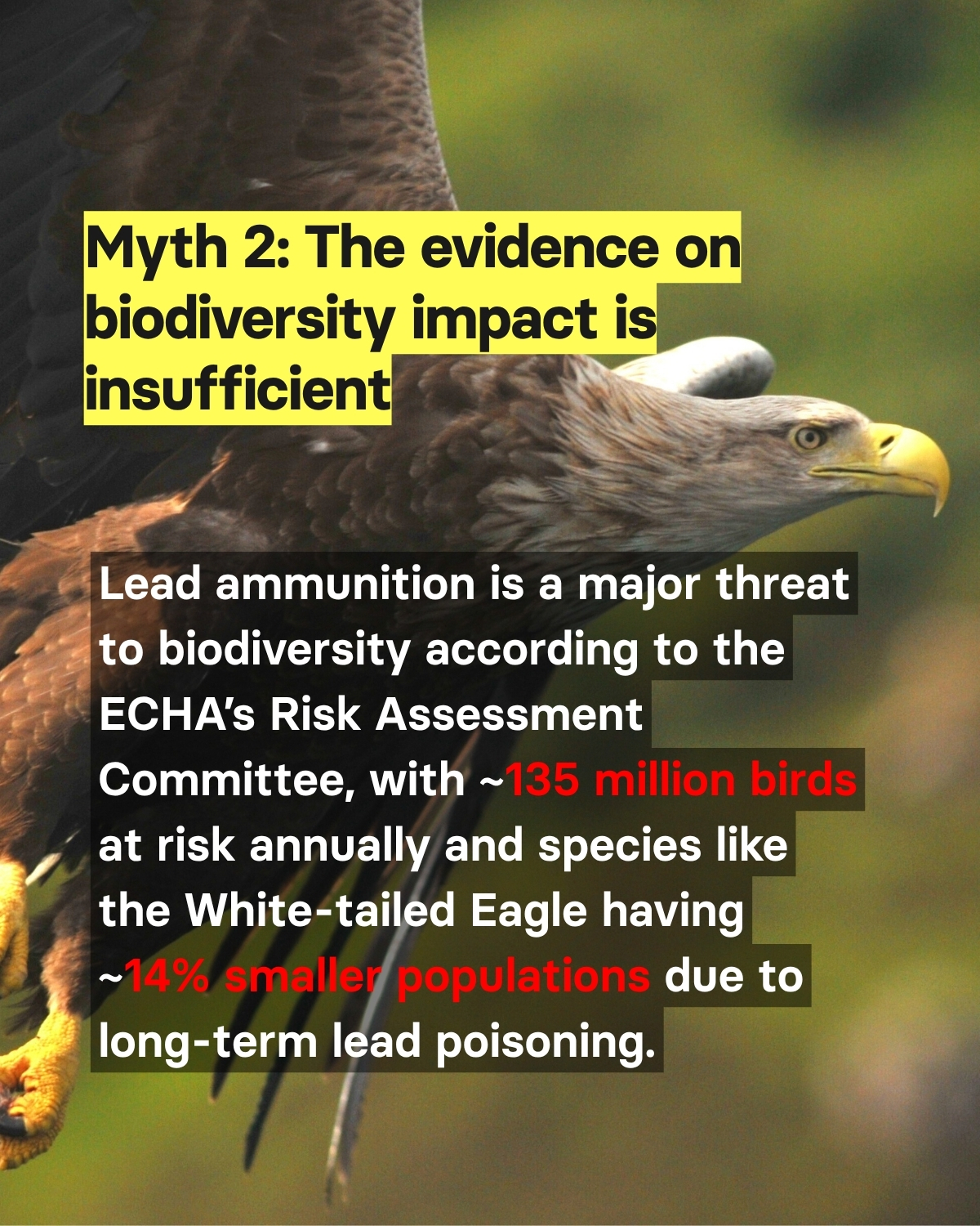 Debunking the myths BanLead EN 3