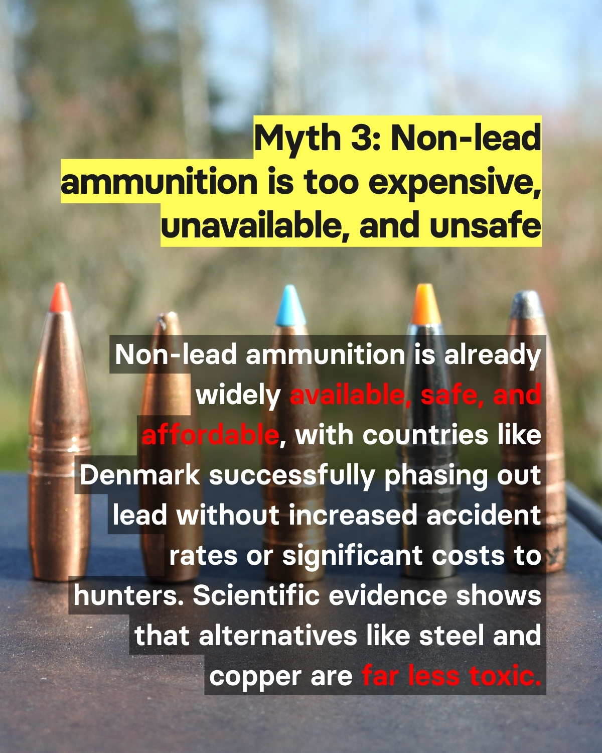 Debunking the myths BanLead EN 4