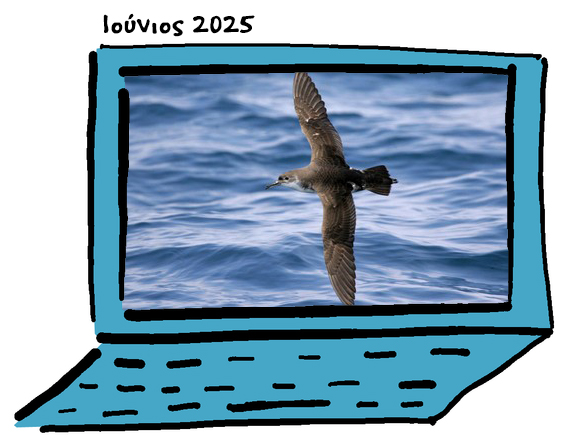 June 2025