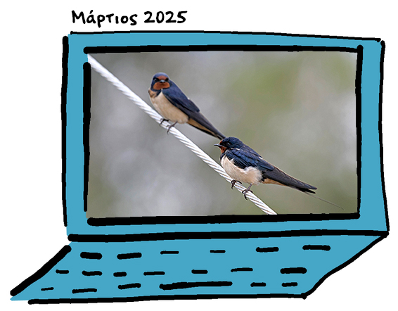 Martios 2025
