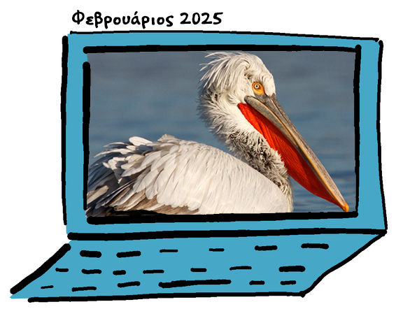 Newsletter February 2025
