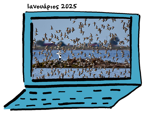 Newsletter January 2025