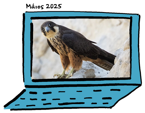 Newsletter May2025