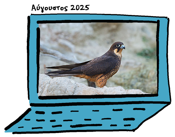newsletter August2025