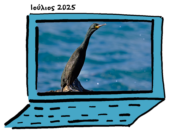 newsletter July2025