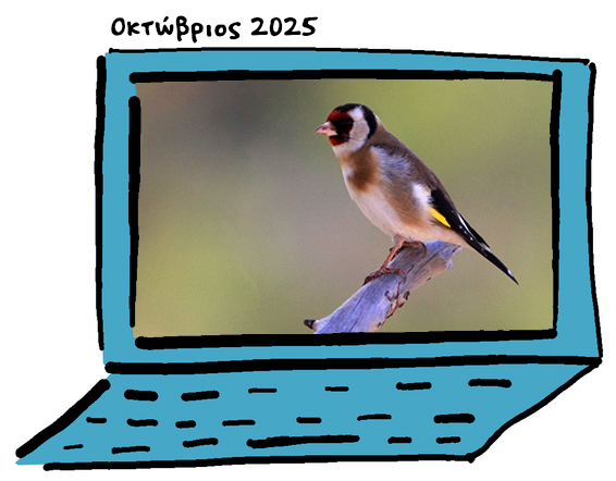 newsletter October2025