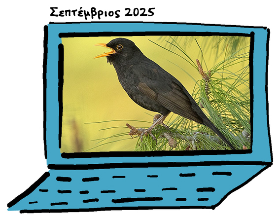 newsletter September2025