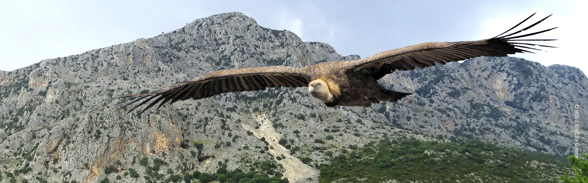 Ετοιμάζουν την τελική επίθεση στους...