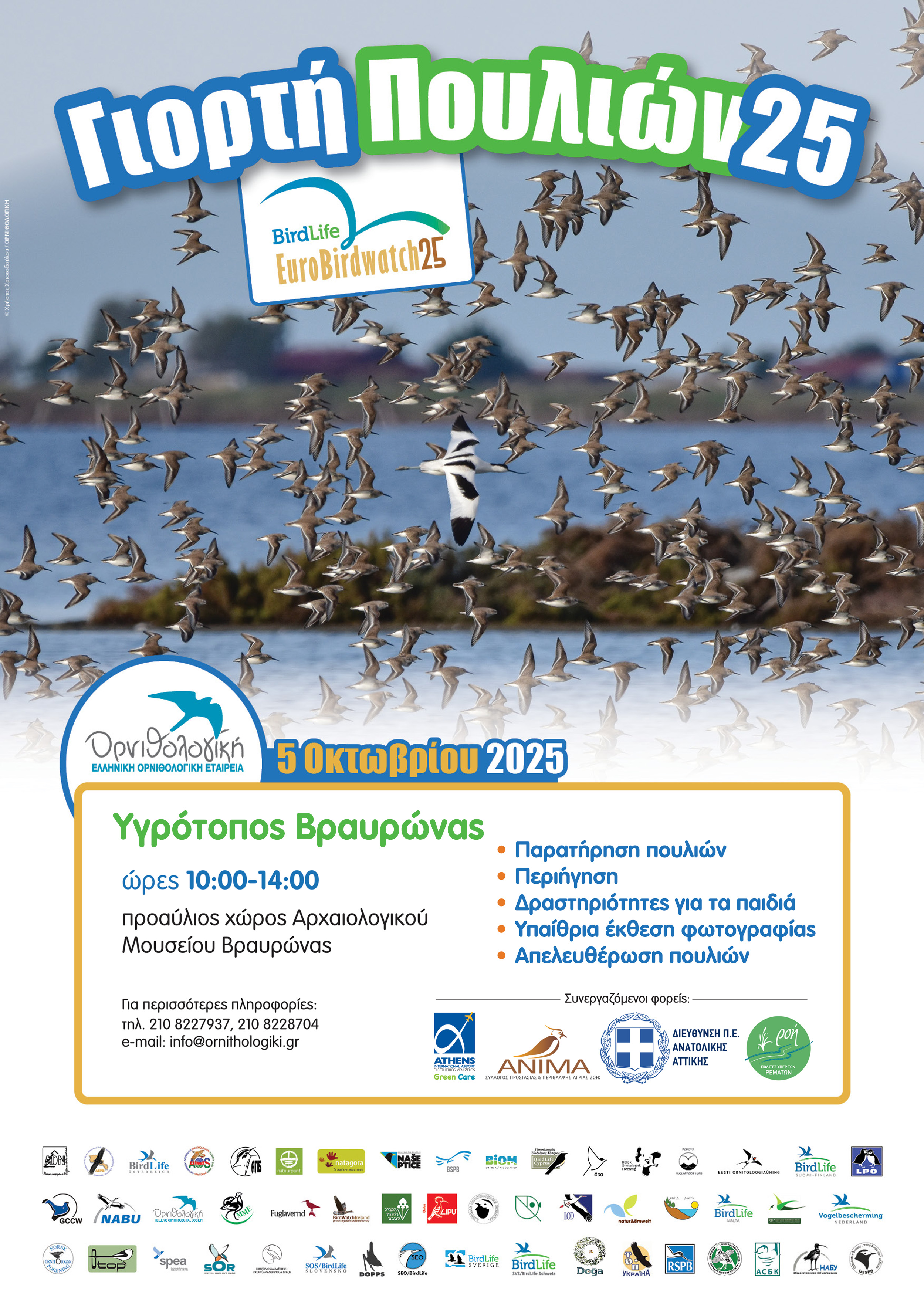 EuroBirdWatch 2025 poster A4 Βραυρώνα final
