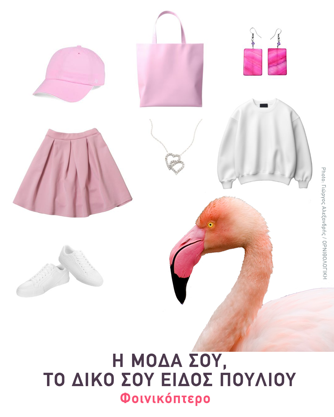 fashion flamingo
