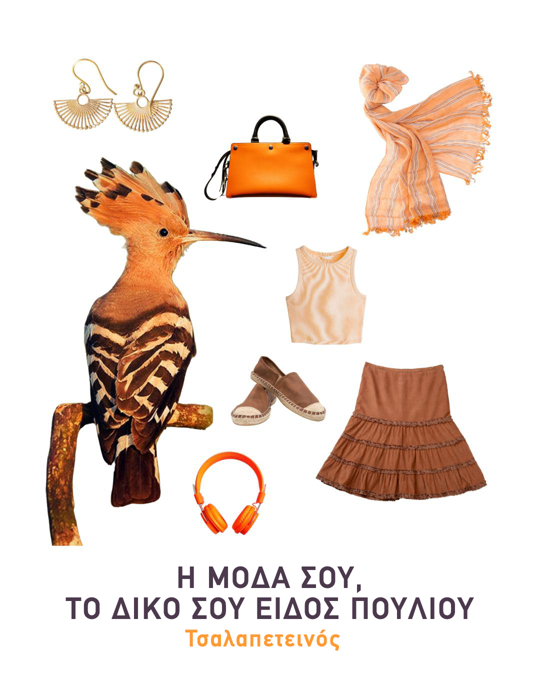 fashion hoopoe
