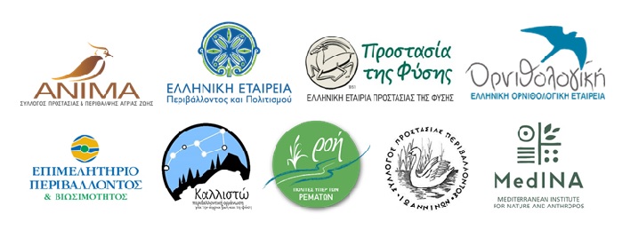 2023 05 29 Koino DT Papigko all logos