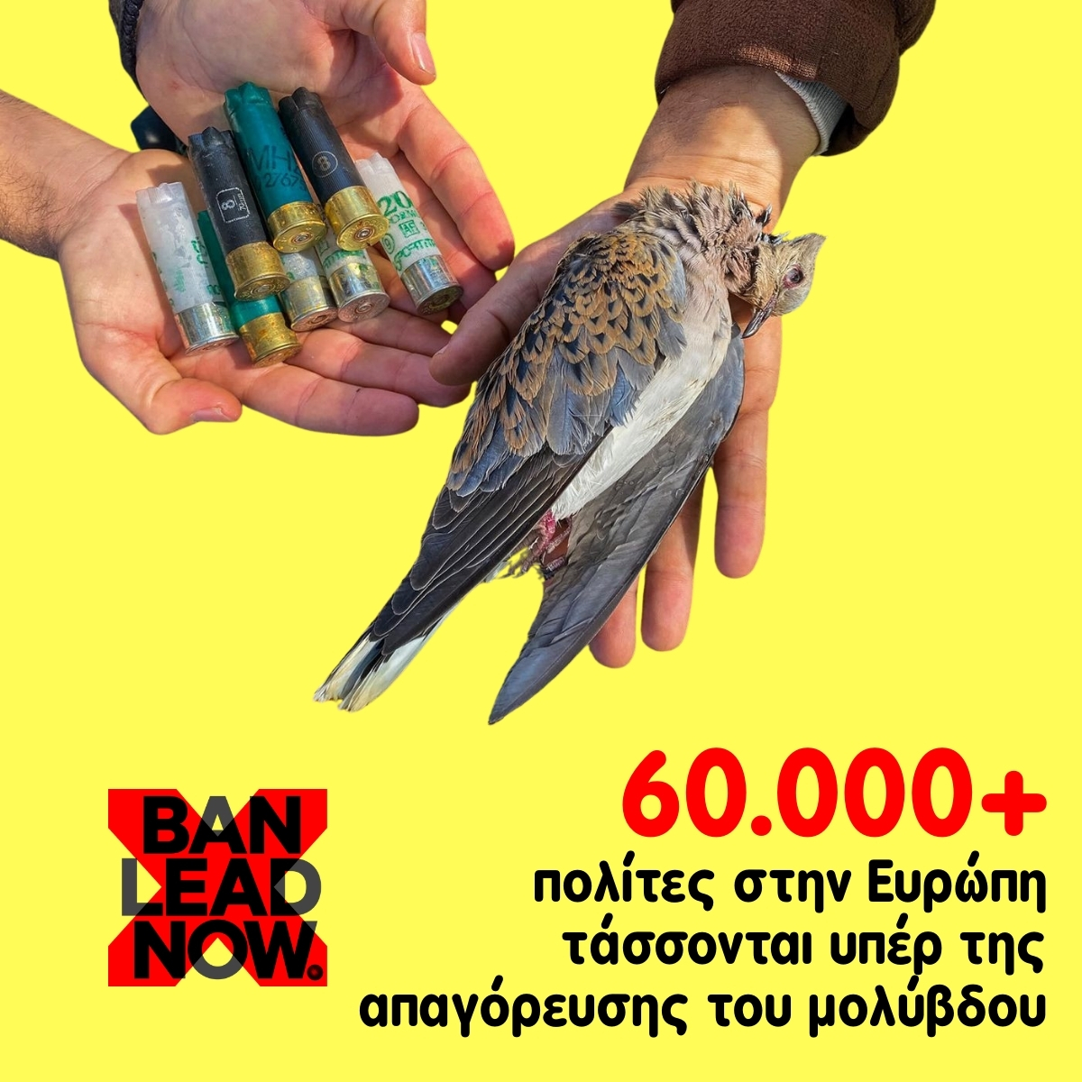 BanLeadNow 1