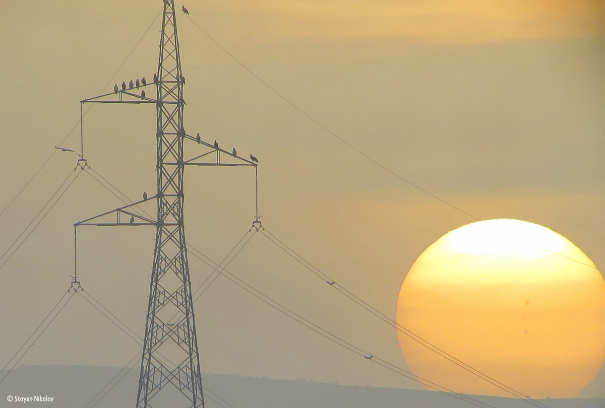 LIFE EV Power lines StoyanNikolov