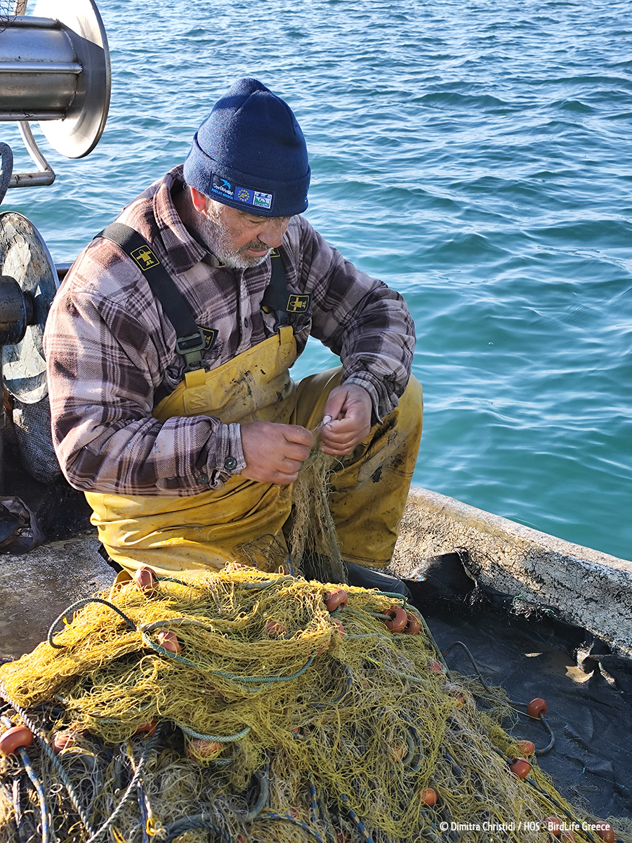 PP Fishers DChristidou cr 1