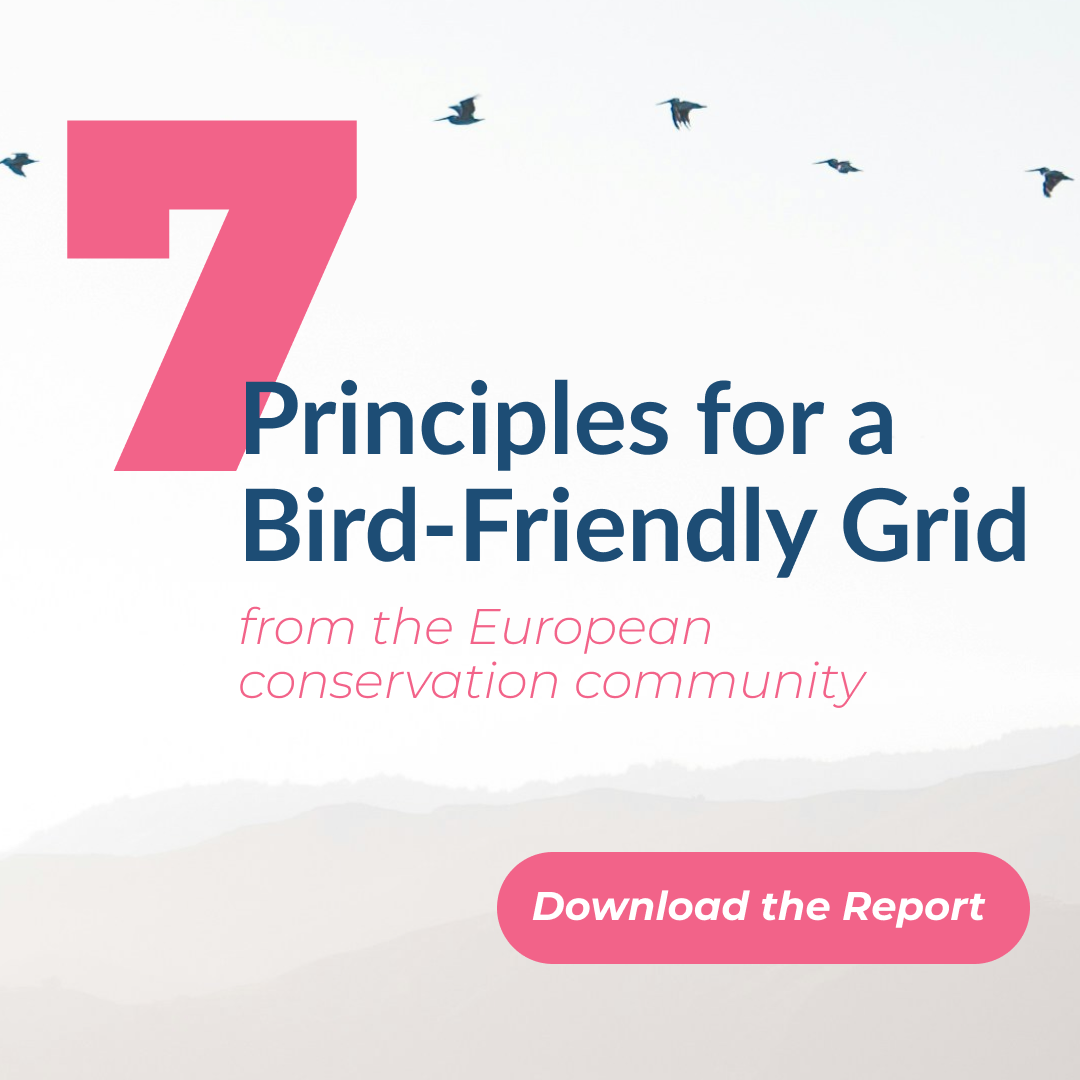 Principles for a safer grid 1 1