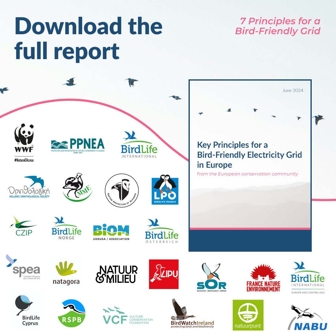 Principles for a safer grid logos