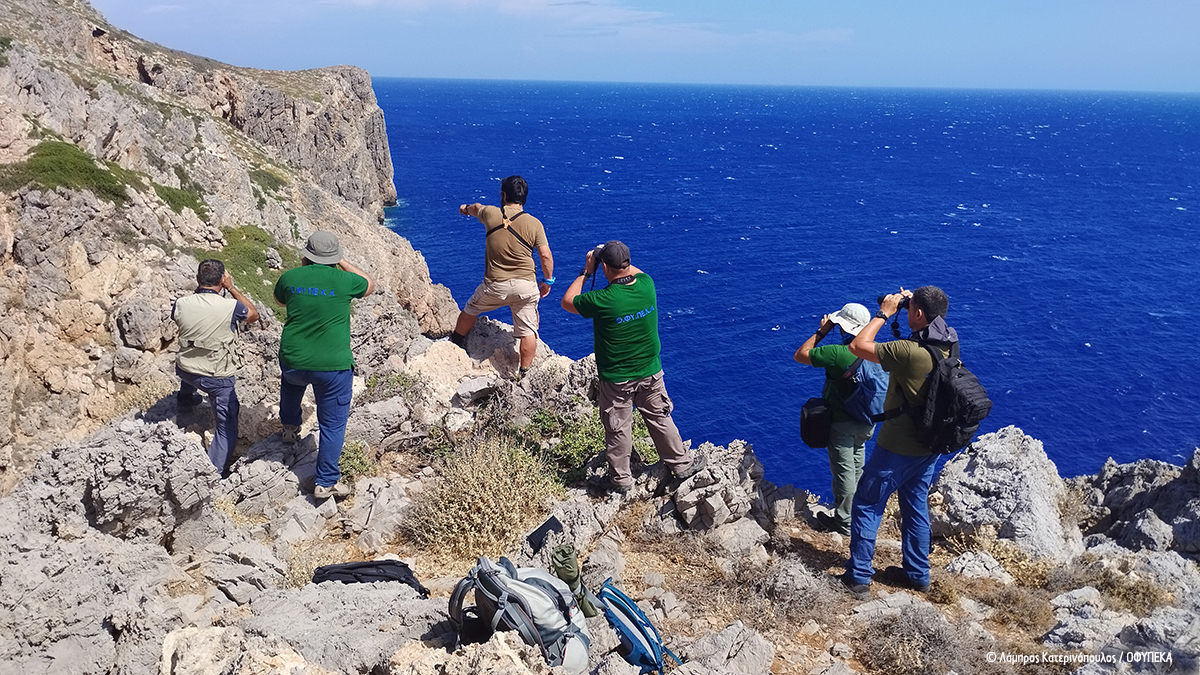 Training Antikythera LKaterinopoulos OFYPEKA 1