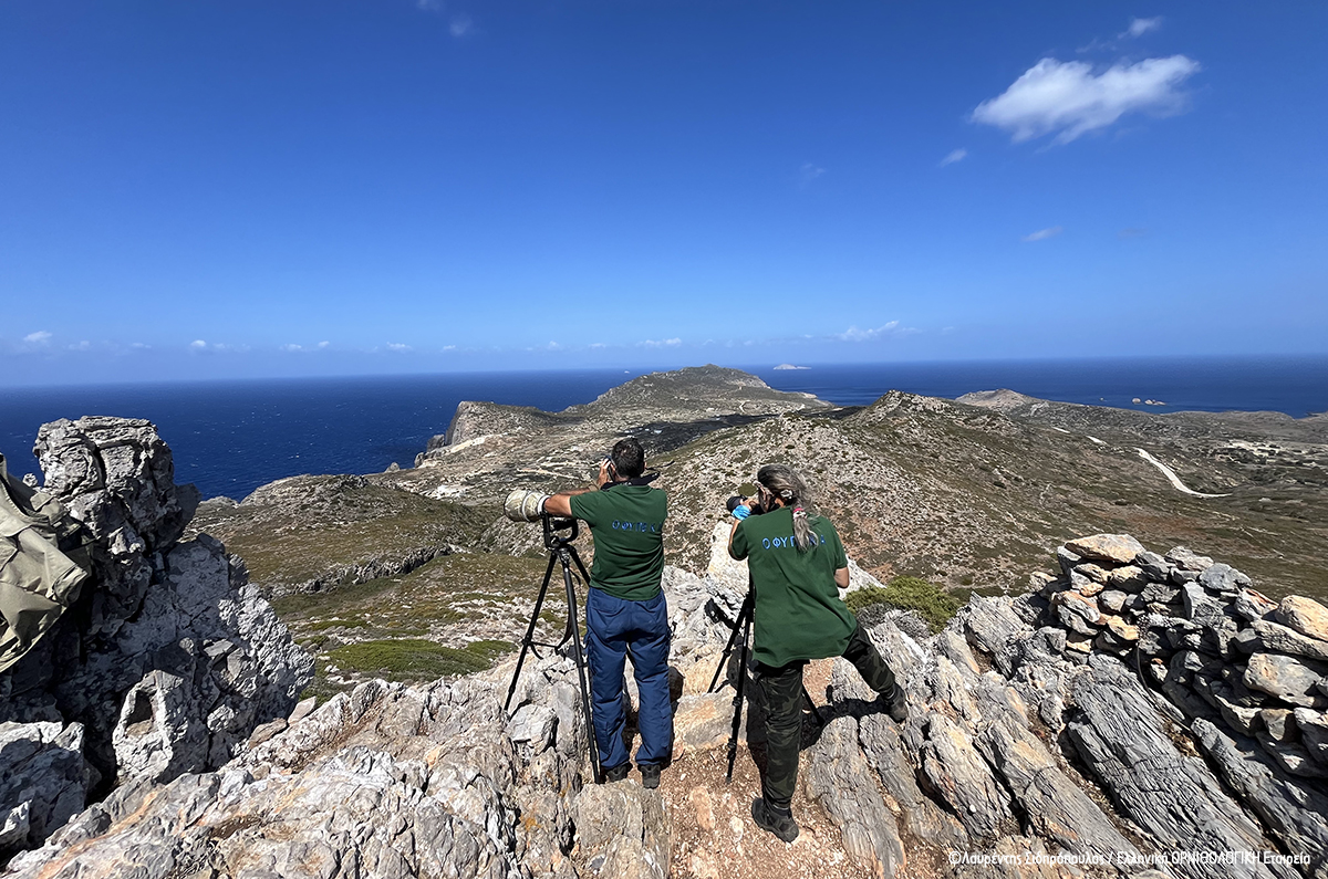 Τα Αντικύθηρα κέντρο εκπαίδευσης για την παρακολούθηση της μετανάστευσης των...