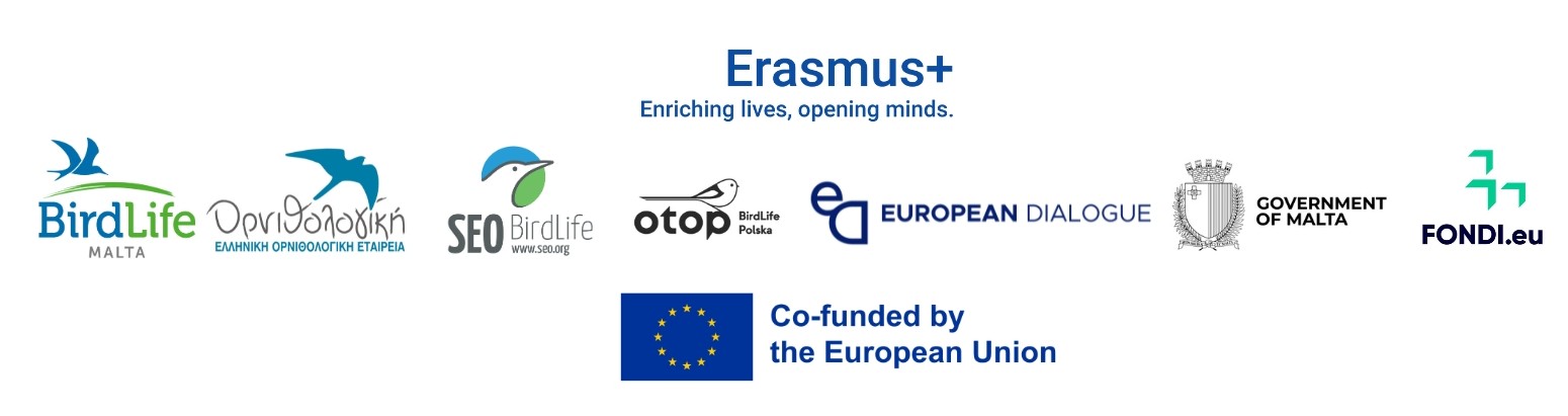 Erasmus Rooted Logos Partners all