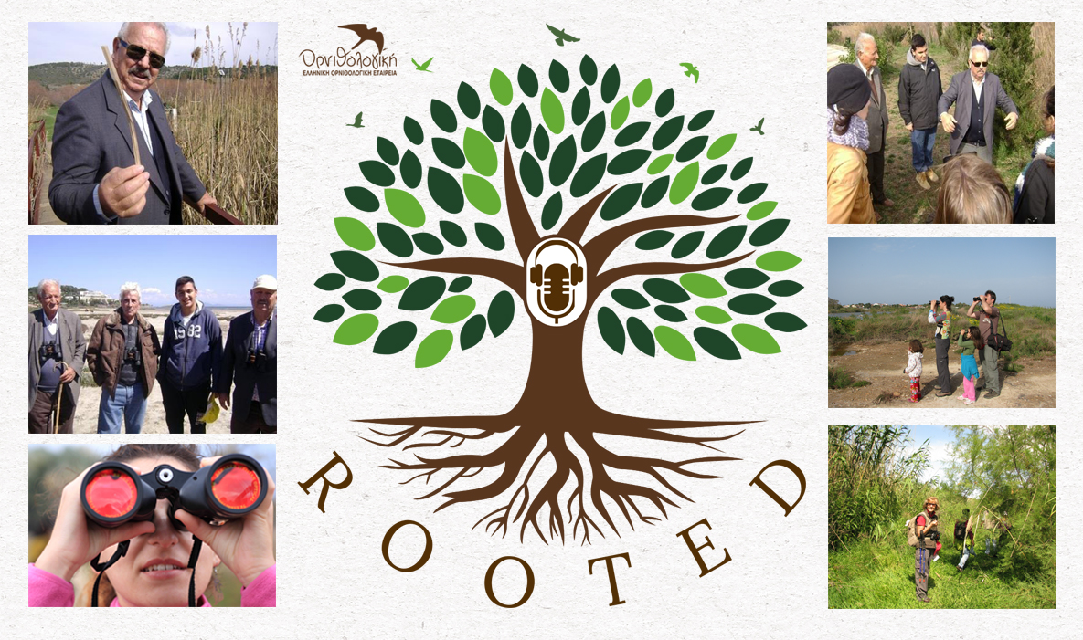 erasmus rooted banner